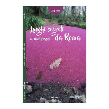 LUOGHI SEGRETI 2 PASSI ROMA 2°VOLUME