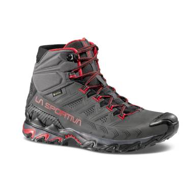 ULTRA RAPTOR II MID LEATHER GTX