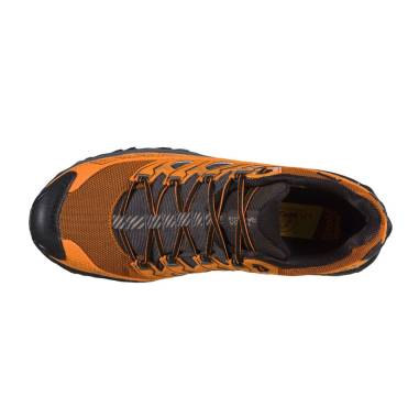 ULTRA RAPTOR II GTX