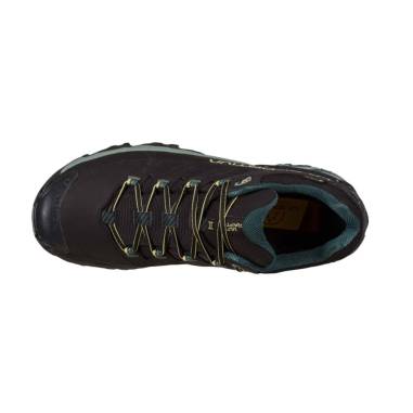 ULTRA RAPTOR II LEATHER GTX