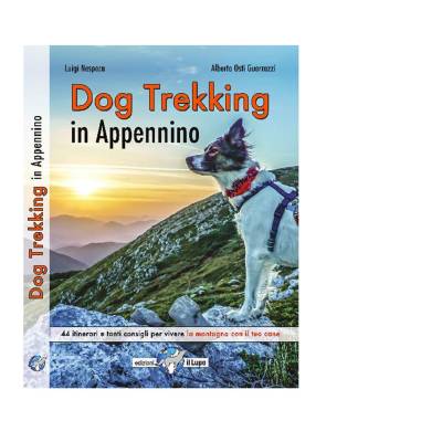 DOG TREKKING IN APPENNINO