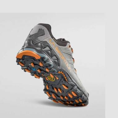 ULTRA RAPTOR II LEATHER GTX