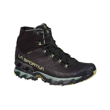 ULTRA RAPTOR II MID LEATHER GTX
