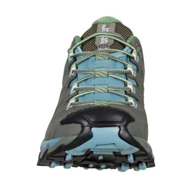 ULTRA RAPTOR II LEATHER W GTX