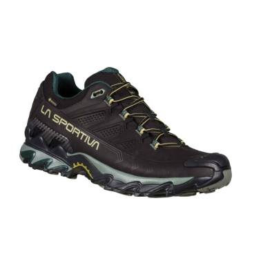 ULTRA RAPTOR II LEATHER GTX