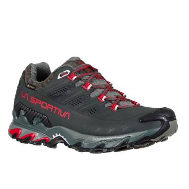 ULTRA RAPTOR II LEATHER W GTX