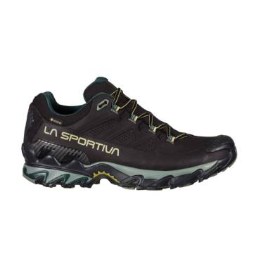 ULTRA RAPTOR II LEATHER GTX