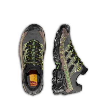 ULTRA RAPTOR II GTX