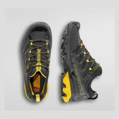 ULTRA RAPTOR 3